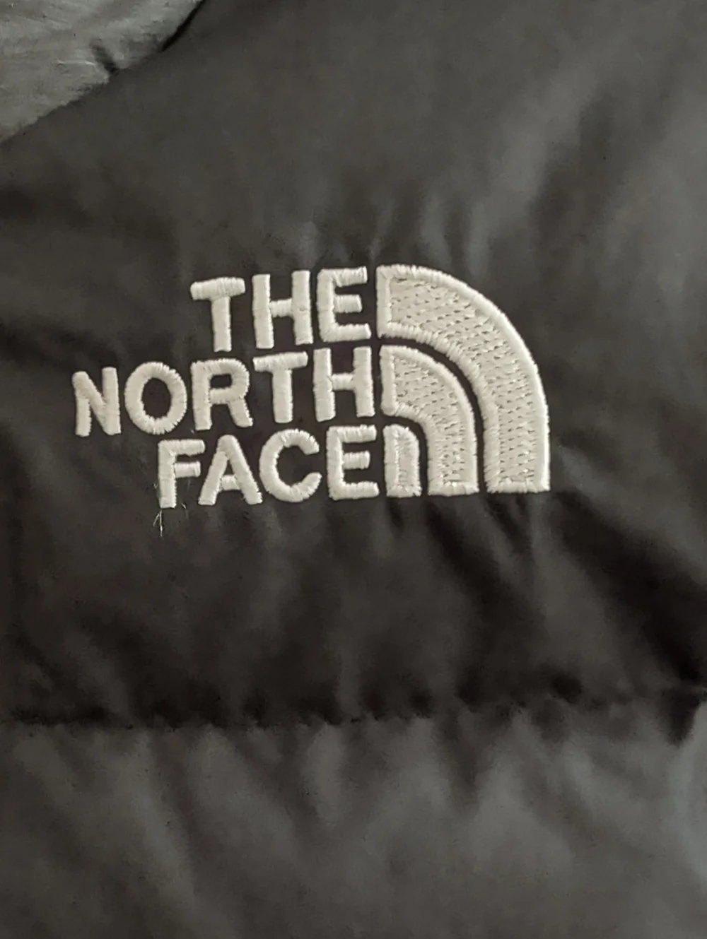 The North Face the north face moondoggy